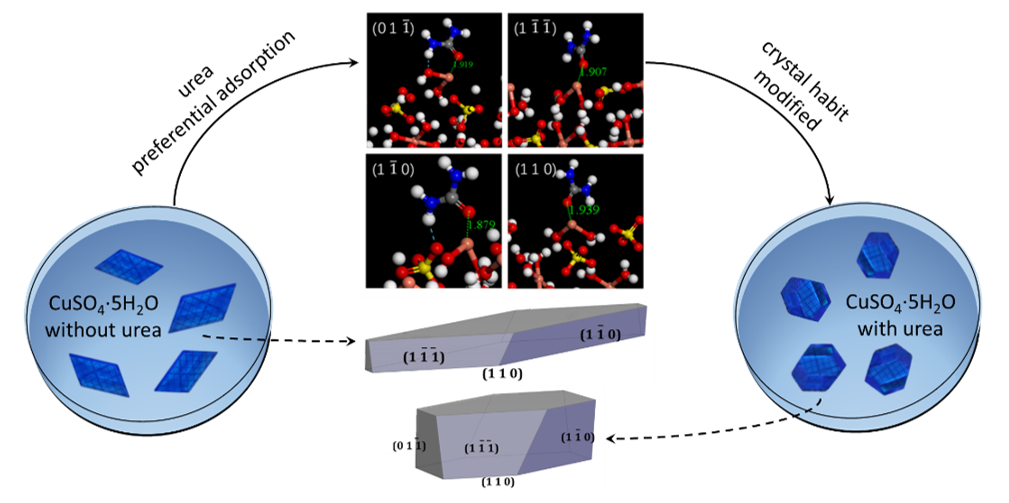 Researchers Reveal Effect of Urea Additive on CuSO<SUB>4</SUB>·5H<SUB>2</SUB>O Crystal Habit