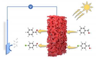 Porous Tantalum Nitride Single Crystal at Two Centimeter Scale Developed with Enhanced Photoelectrochemical Performance