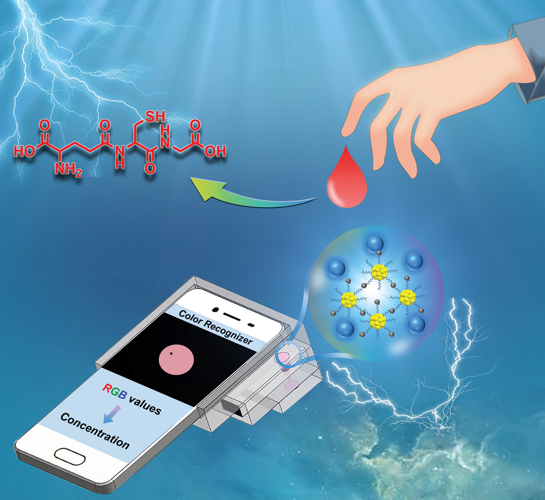 A Portable Smartphone Sensing Platform for Real-time and Visual Detection.jpg