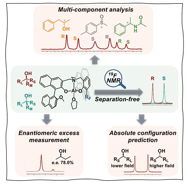 Mechanism and utilities of the?19F NMR-based separation-free enantiodifferentiation.png