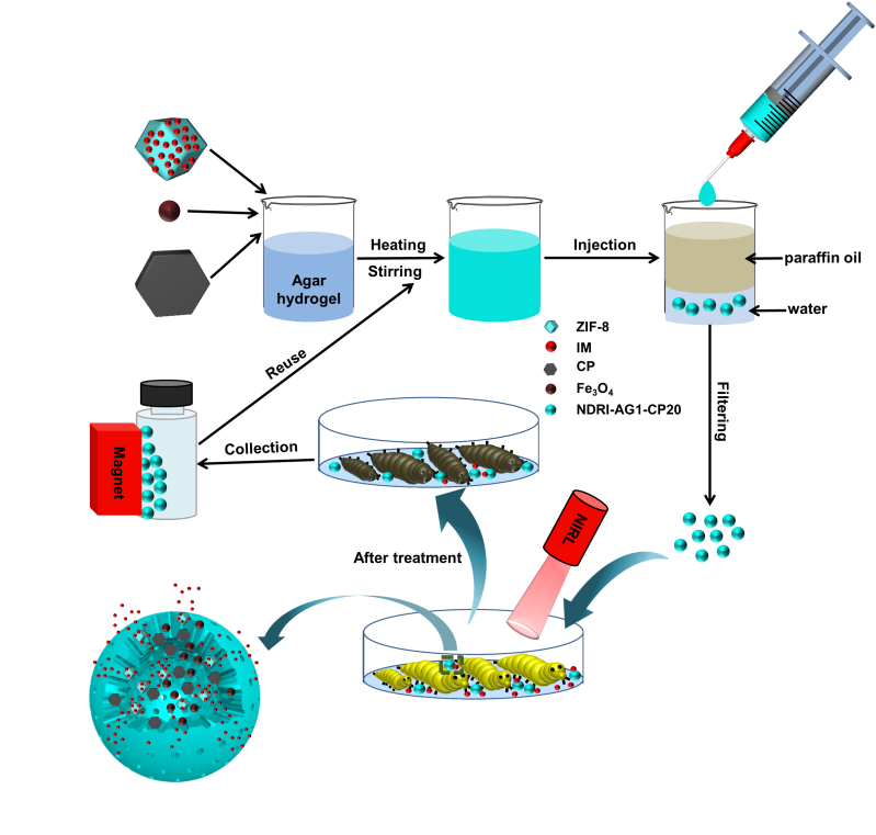 Schematic illustration of mechanism.png