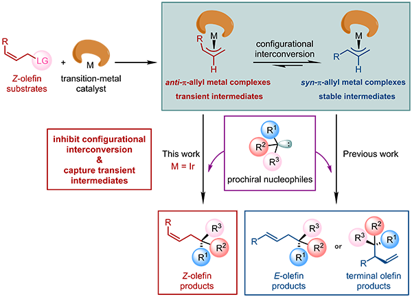 Researchers Report Iridium-catalyzed Z-retentive Asymmetric Allylic Substitution Reactions