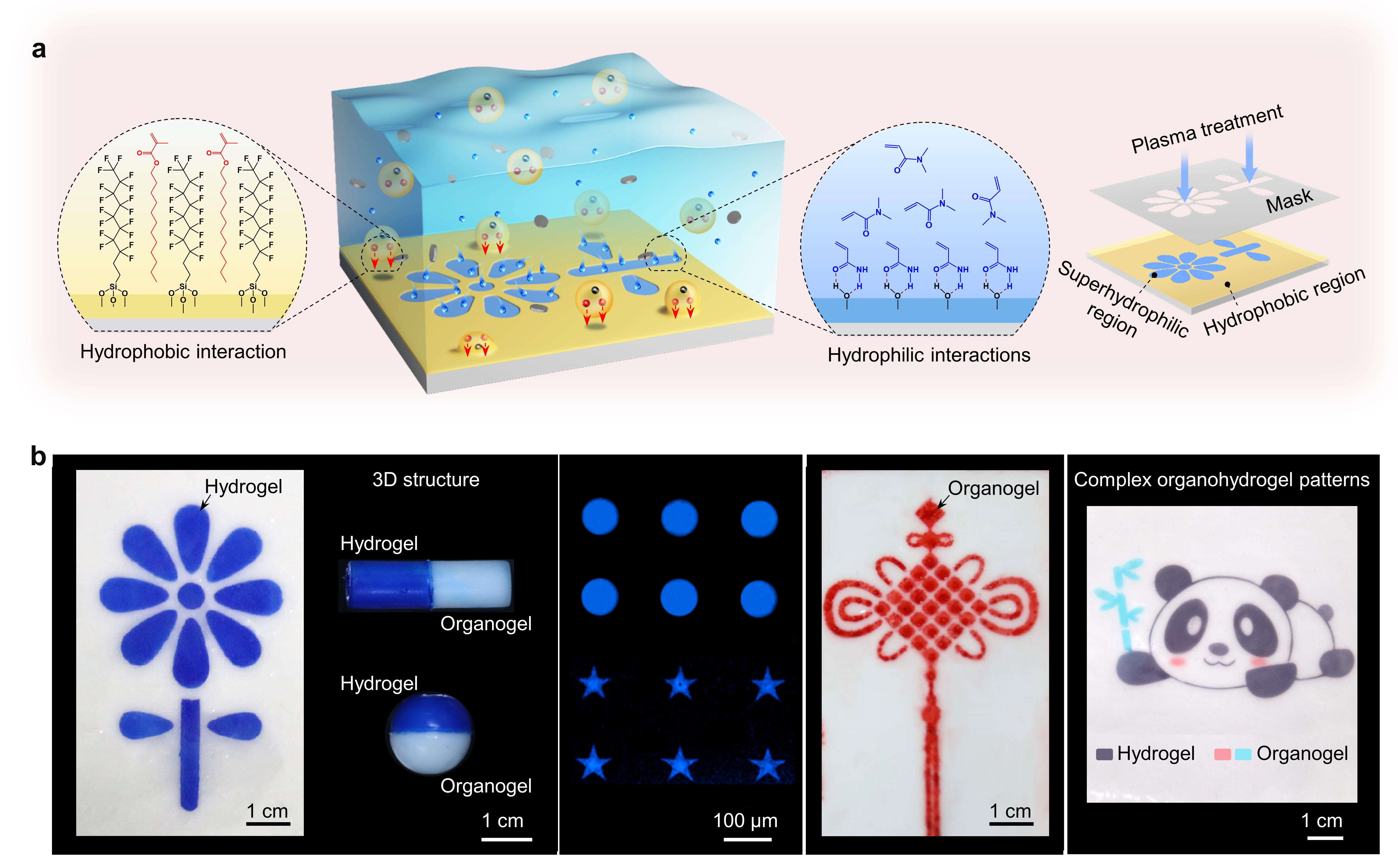 a. Schematic Diagram of the Surface Patterning through a WET strategy; b. Demonstration of Complex Hydrogel and Organogel Patterns on Organohydrogel Surface.jpg