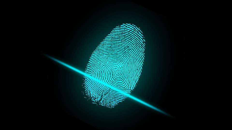 Researchers Develop Highly Sensitive Flexible Tactile Sensor Mimicking Human's Fingerprint