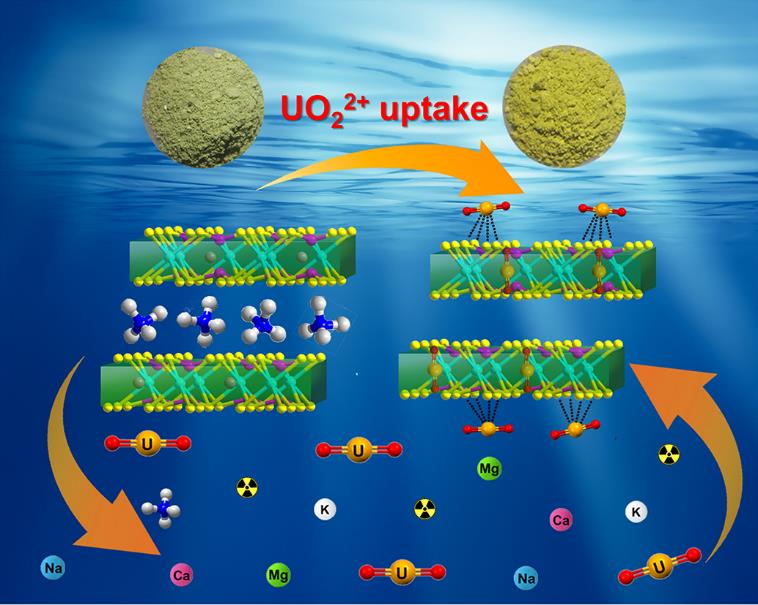 Schematic diagram of the layered MnPS<sub>3</sub> intercalated with NH<sub>4</sub><sup>+</sup> (N-MPS) for the capture of U(VI)