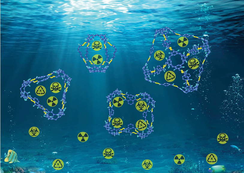 Researchers Develop Water-stable Hydrazone-linked Porous Organic Cages for Water Pollutant Removal