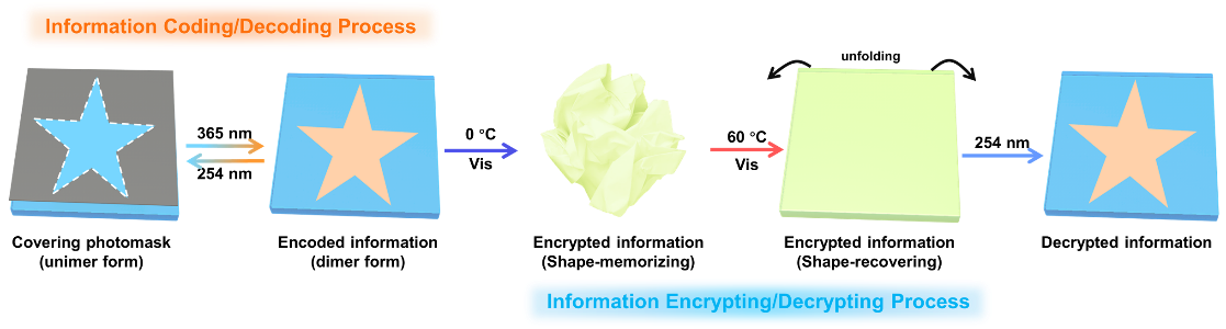 The information coding/decoding and encryption/decryption based on the fluorescent organohydrogel