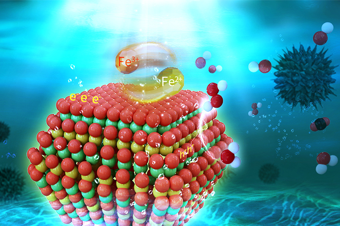New Coupling Strategy for Organic Wastewater Treatment.jpg