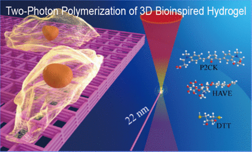 Biocompatible Hydrogel Photoresist
