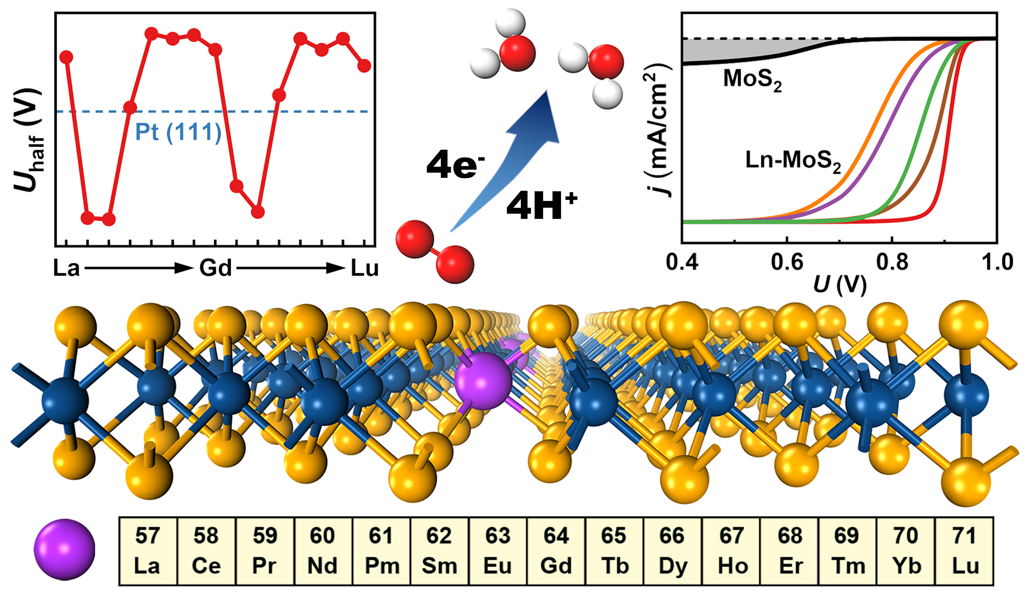 biperiodic chemical trend and enhanced oxygen reduction reaction activity of Ln-MoS2