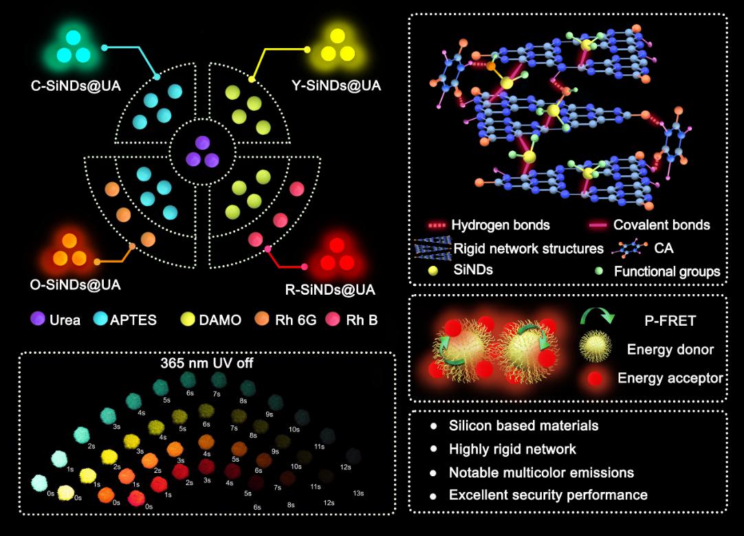 Schematic illustration for the preparations of C-SiNDs@UA, Y-SiNDs@UA, O-SiNDs@UA, and R-SiNDs@UA.jpg