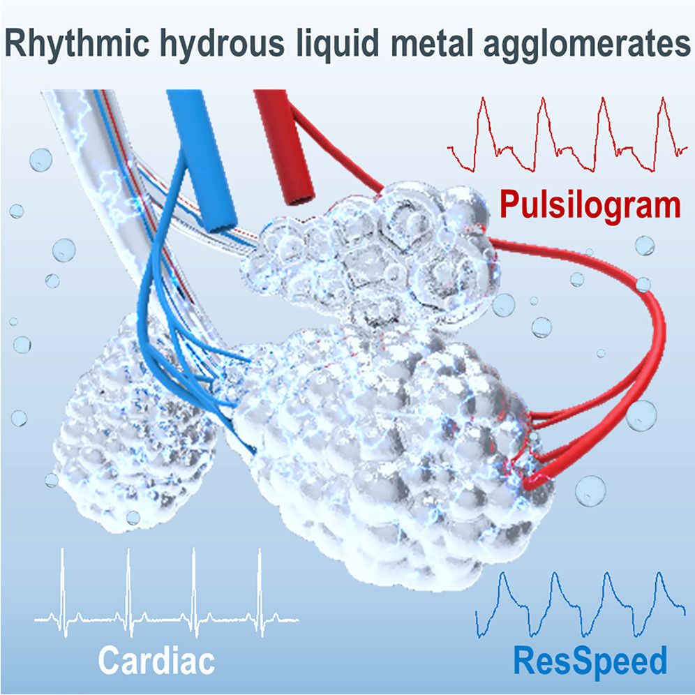 Schematic for biotissue-like rhythmic hydrous liquid-metal agglomerates