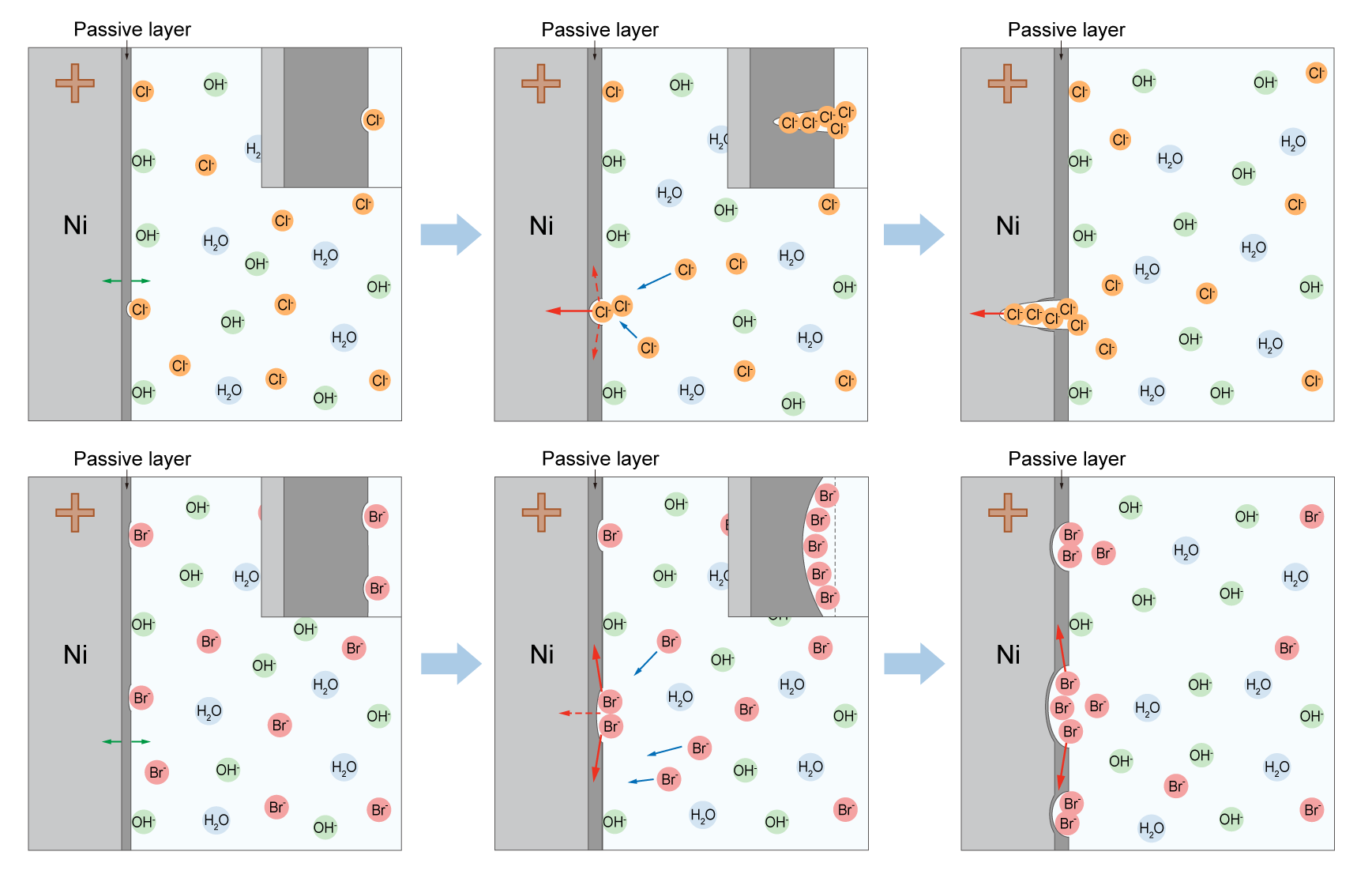 corrosion processes of Ni substrates