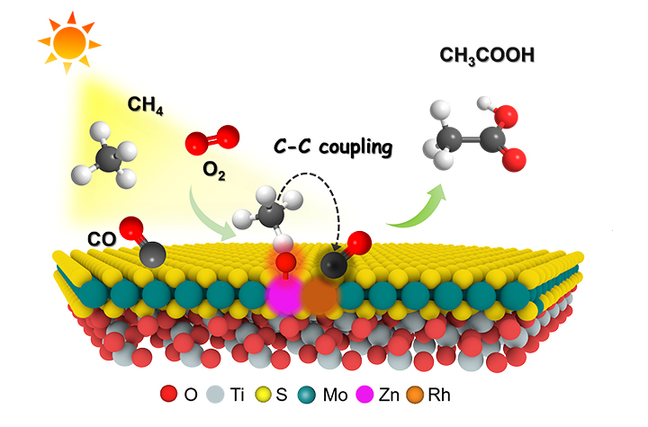 MoS<sub>2</sub>-confined Rh-Zn Atomic Pair Boosts Photo-driven Methane Carbonylation to Acetic Acid