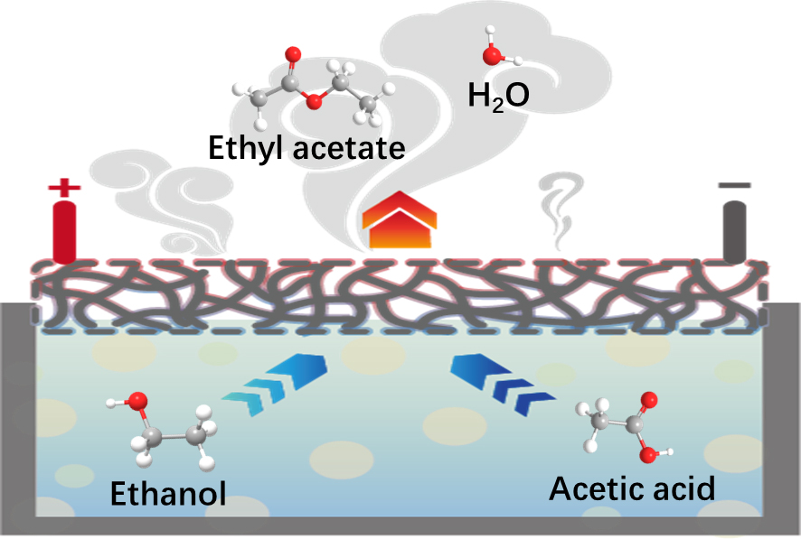 New Electrified Approach Developed for Esterification Efficiency