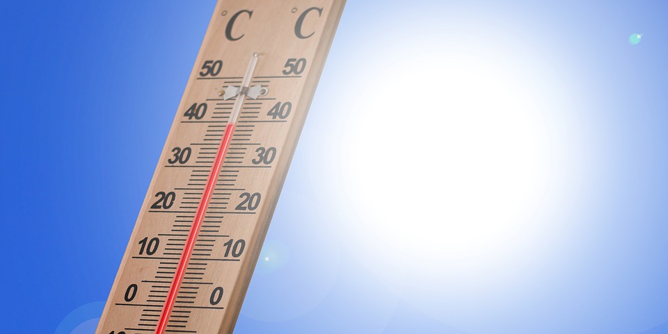 Observed Past Half-degree Warming Rise Serves as Analogues for Future Projections in China Heat Extremes