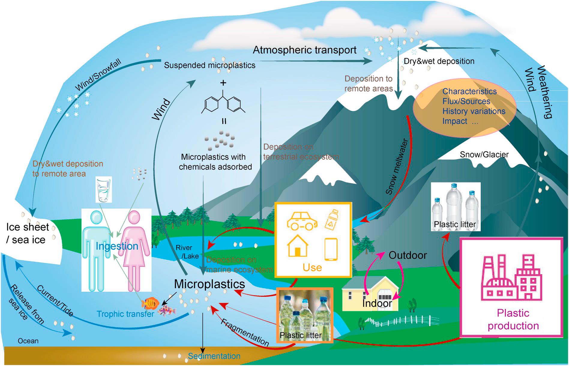 Conceptual model of atmospheric microplastics in the environment..jpg