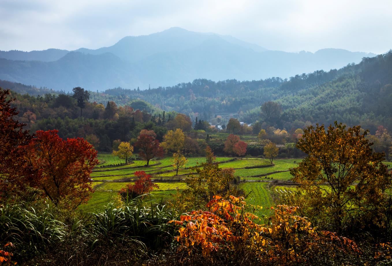 Natural Solutions to the Climate Crisis? One-quarter is All Down to Earth…