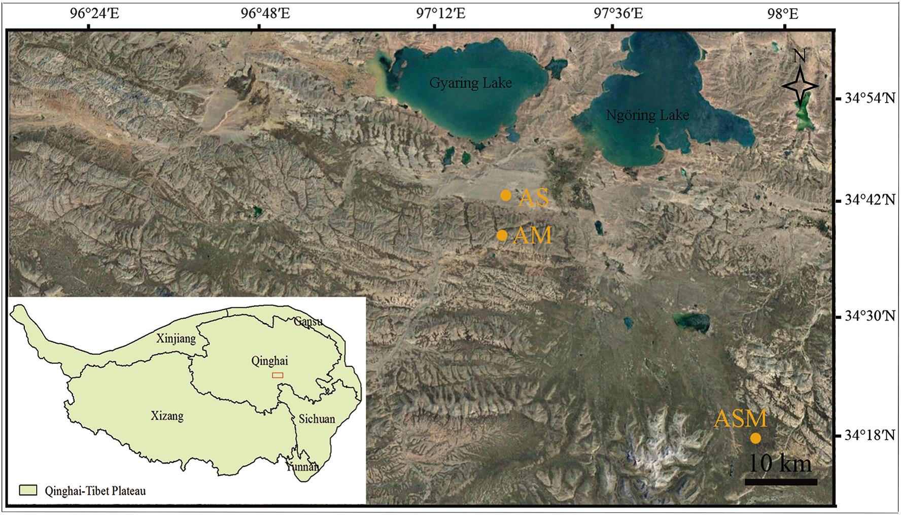 Location of the study sites in the south-central headwater area of the Yellow River on the northeastern Qinghai-Tibet Plateau.jpg