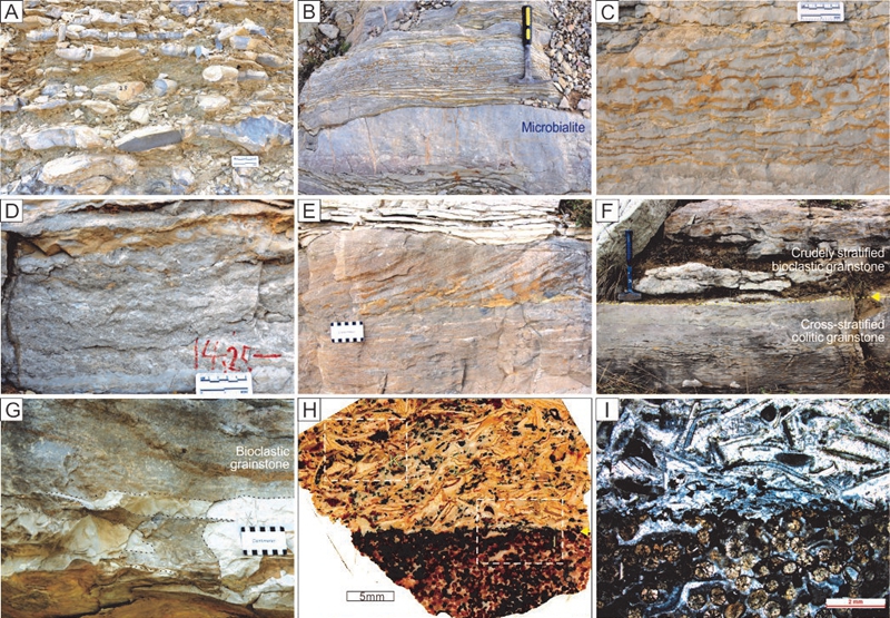 Spatial Variation in Carbonate Carbon Isotopes during Cambrian SPICE Event across Eastern North China Platform Revealed