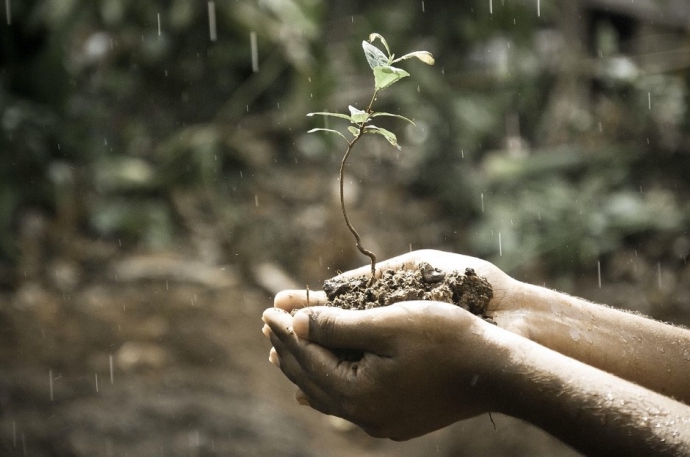 India's 50-year Drying Period and Subsequent Reversal - Battle between Natural and Anthropogenic Variability