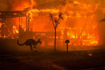 Wildfire in Australia.jpg