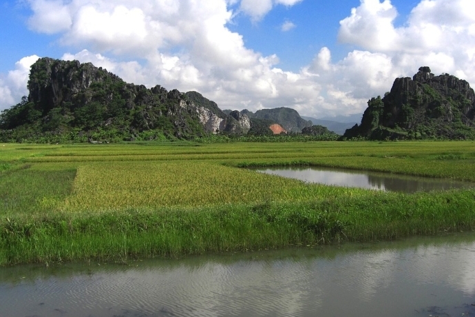 Study Reveals Special 