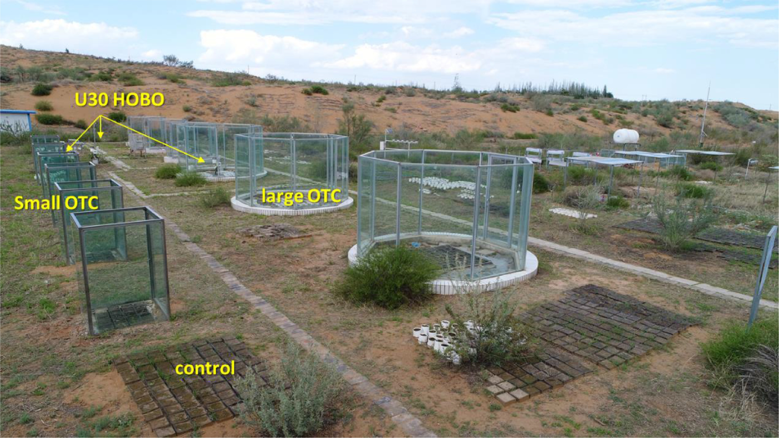 Open-Top Chambers (OTCs) of different size were employed to simulate warming