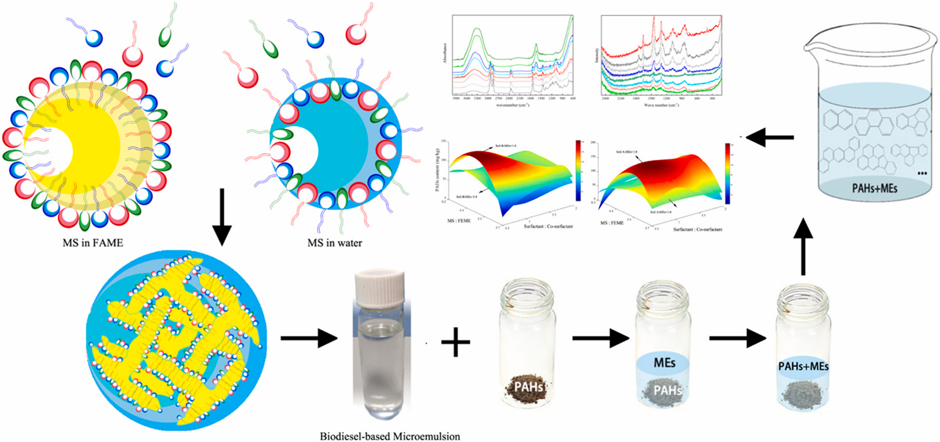 Fatty Acid Methyl Ester-based Microemulsion Increases Polycyclic Aromatic Hydrocarbon Removals in Soils