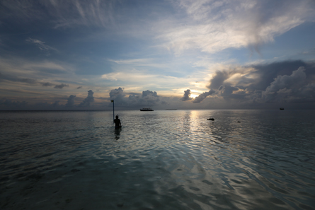 Greenhouse Warming Intensifies North Tropical Atlantic Sea Surface Temperature Anomalies