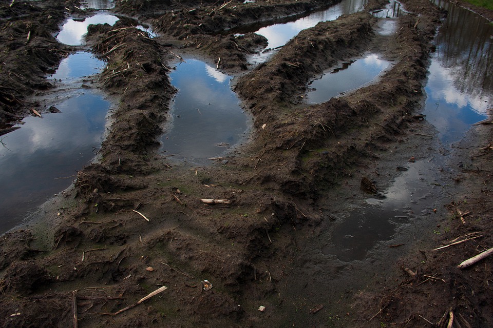 Researchers Reveal Nature of Soil Water and Its Phase Transition