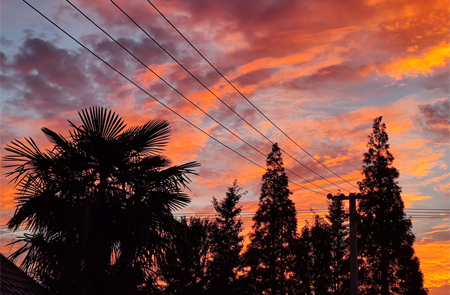 What Variables Affect Cloud Simulation in Global Climate Models?