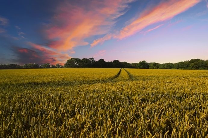 China Releases Global Dataset of 30-m Cropping Intensity