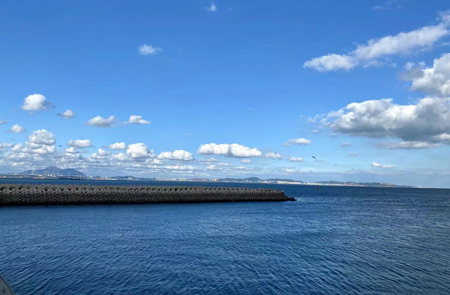 Study Discloses Spatial-temporal Structure of Ocean Salinity Seasonal Variation