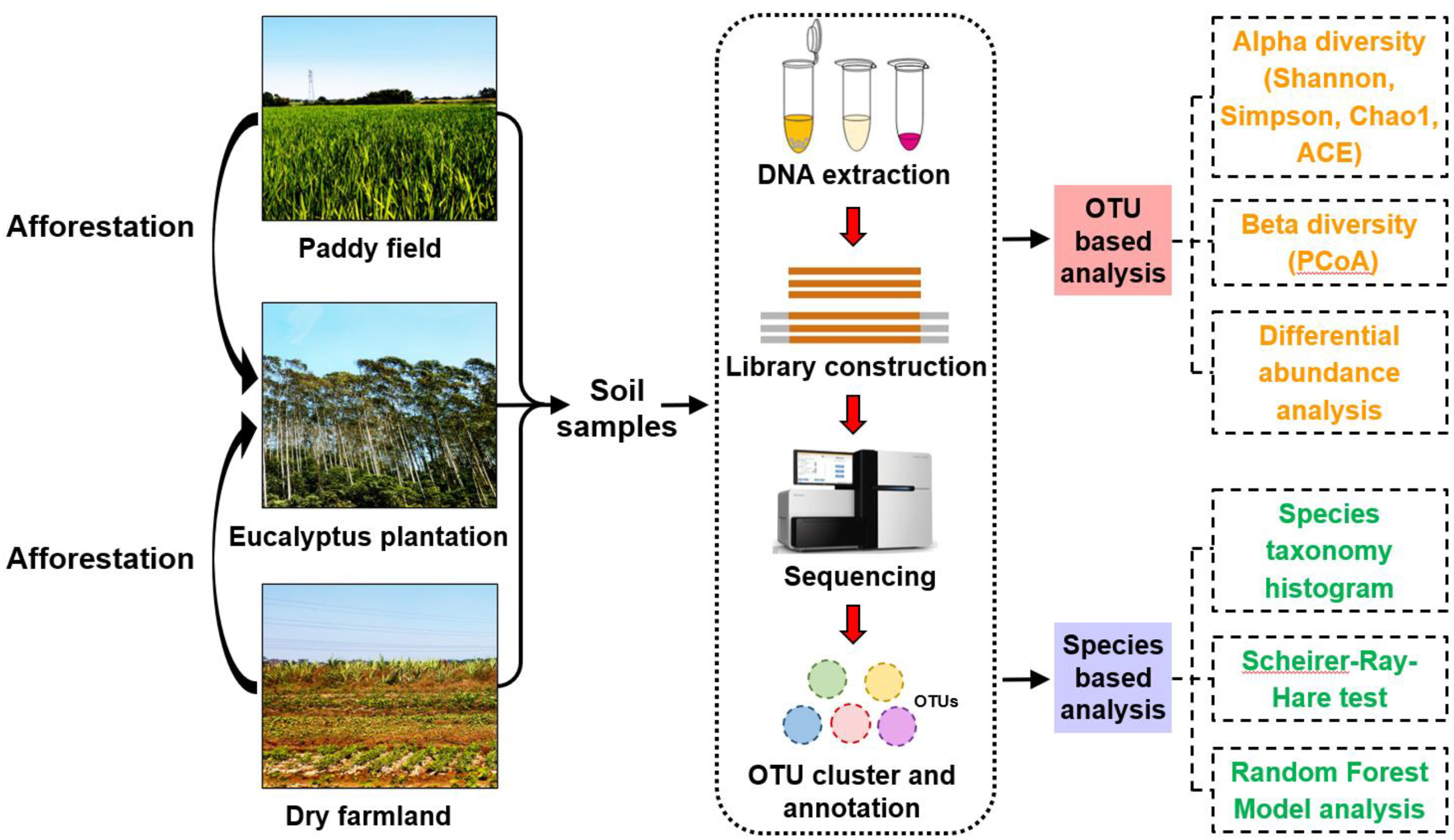 Effect of Afforestation on Soil Fungal Community Structure Is Greater Than Spatial Distance