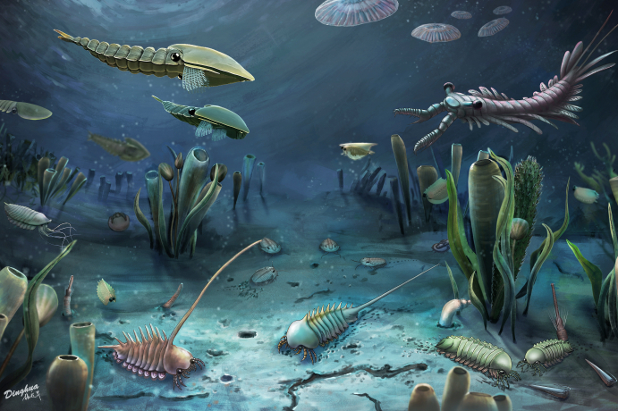 Linyi Lagerstätte: New Window on Cambrian Fauna Evolution | Mirage News