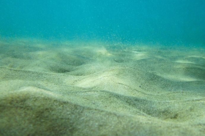 Sand under sea.jpg