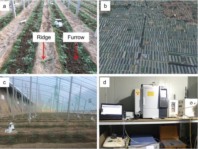 Greenhouse Vegetable Production Emits High Levels of Nitrous Oxide