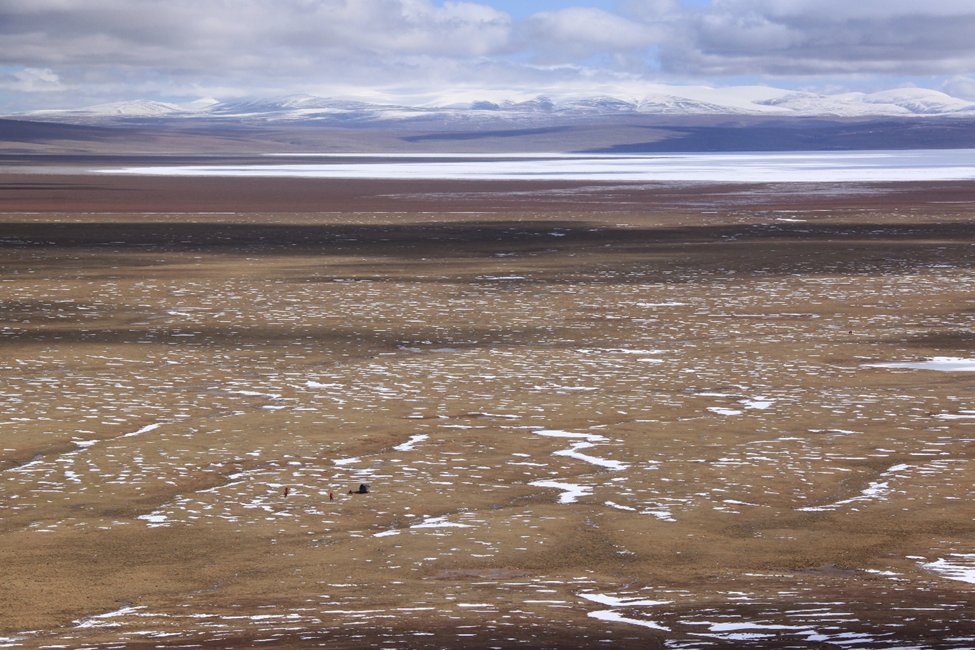 continuous permafrost region of the TP