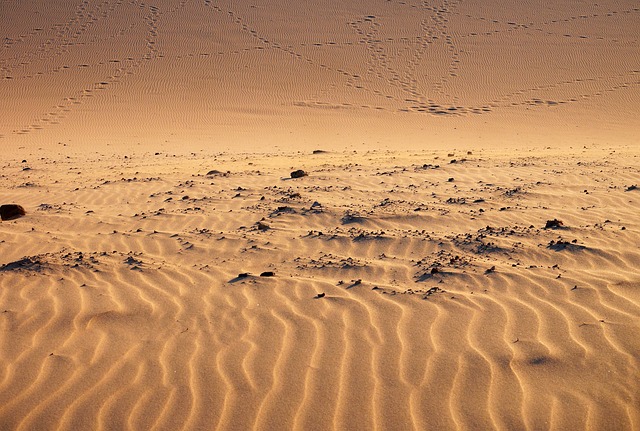 desert sand.jpg