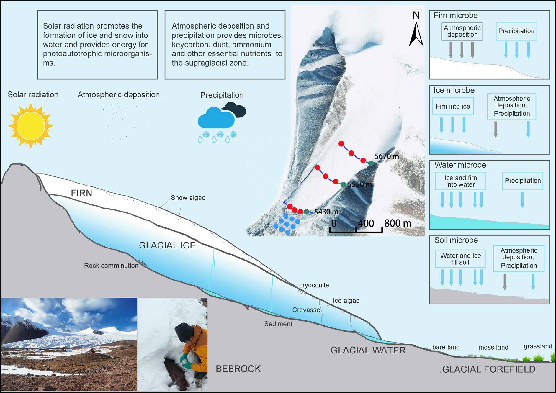 Schematic diagram of sampling Dongkemadi Glacier