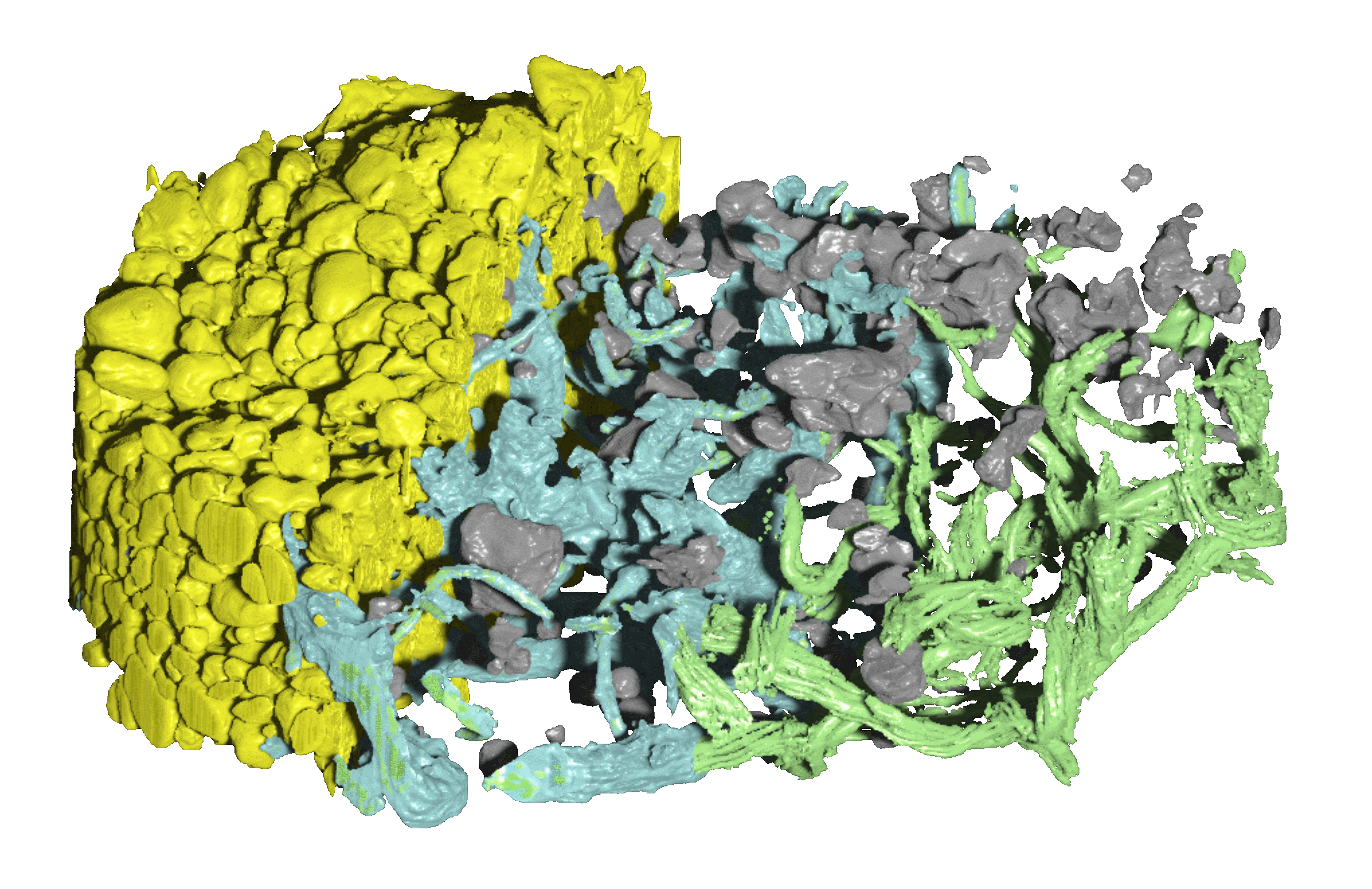 Study Uncovers How Cyanobacteria Expand Soil Crusts in Harsh Desert Environments