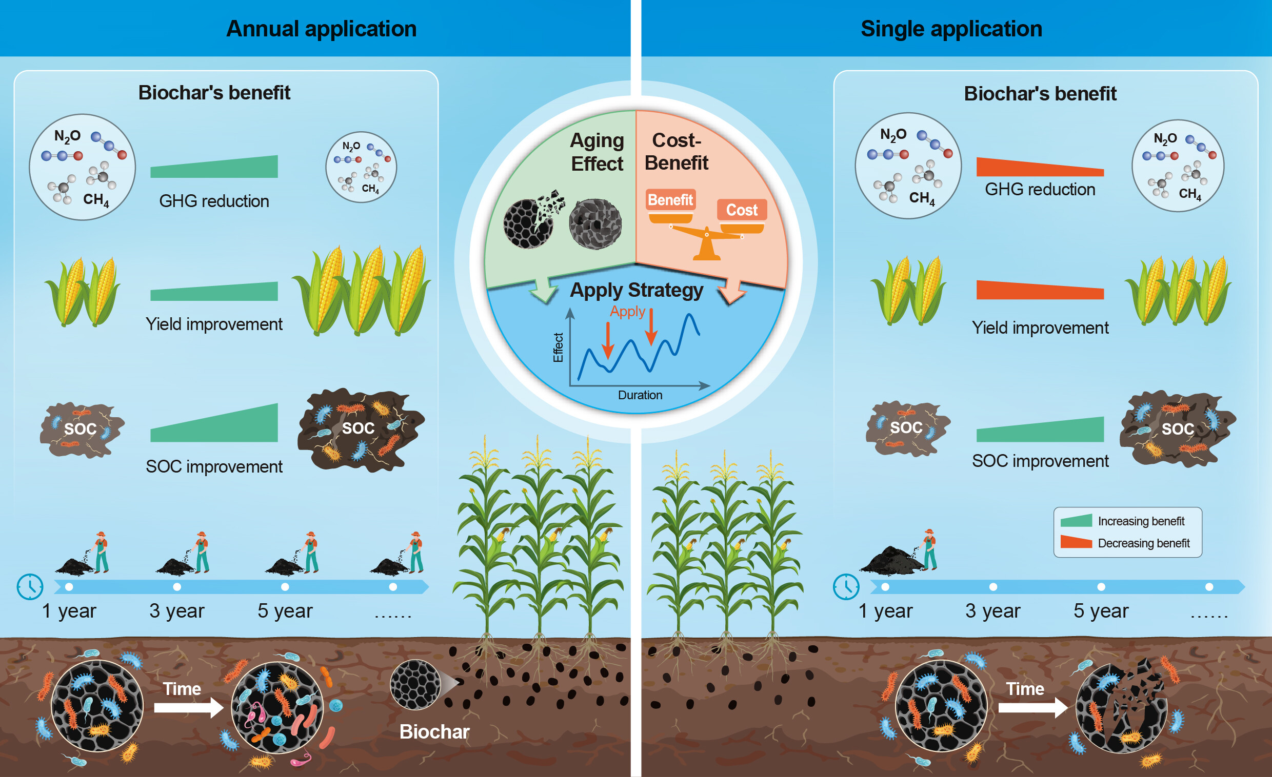 Long-Term Biochar Use Found to Sustainably Boost Crop Yields and Cut Greenhouse Gas Emissions