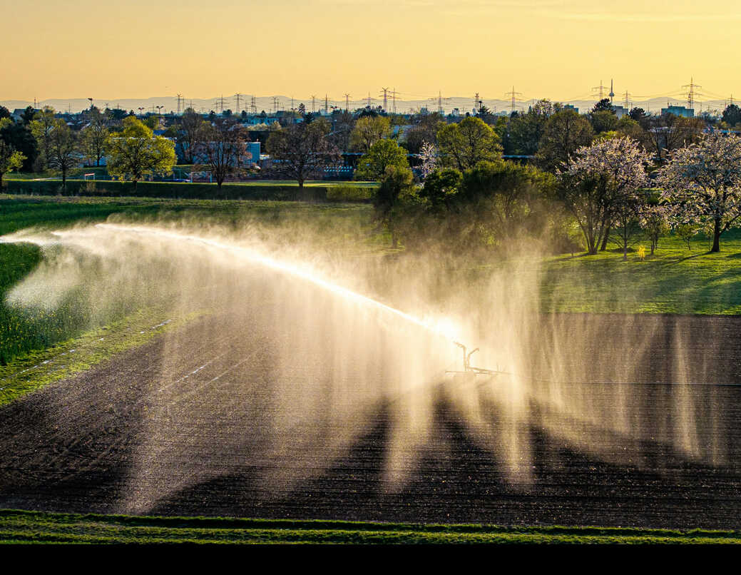 Scientists Release 20-year Global Cropland Water-Use Efficiency Dataset to Support SDGs