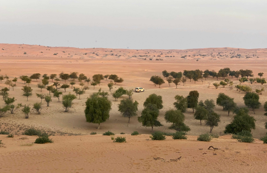 New Study Reveals Land Degradation Outpaces Restoration in Africa's Great Green Wall