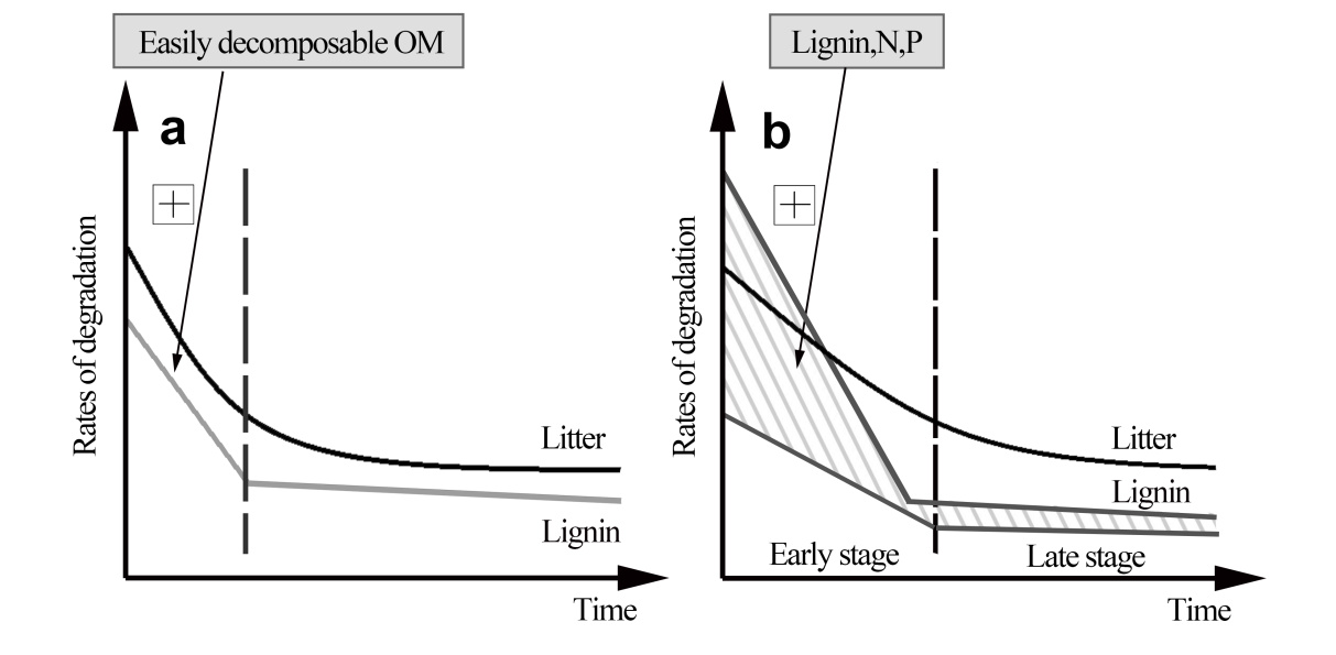 Conceptual model of lignin degradation and major controlling factors during litter decomposition (Image by WBG)_副本.jpg