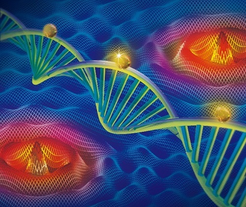 Researchers Develop New Interferometric Single-molecule Localization Microscopy