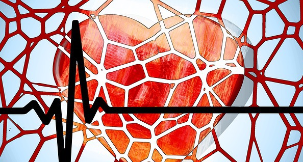 Researchers Reveal Cardioprotective Effects of hESC-CVPC-Secreted Extracellular Vesicles in Infarcted Heart via lncRNA