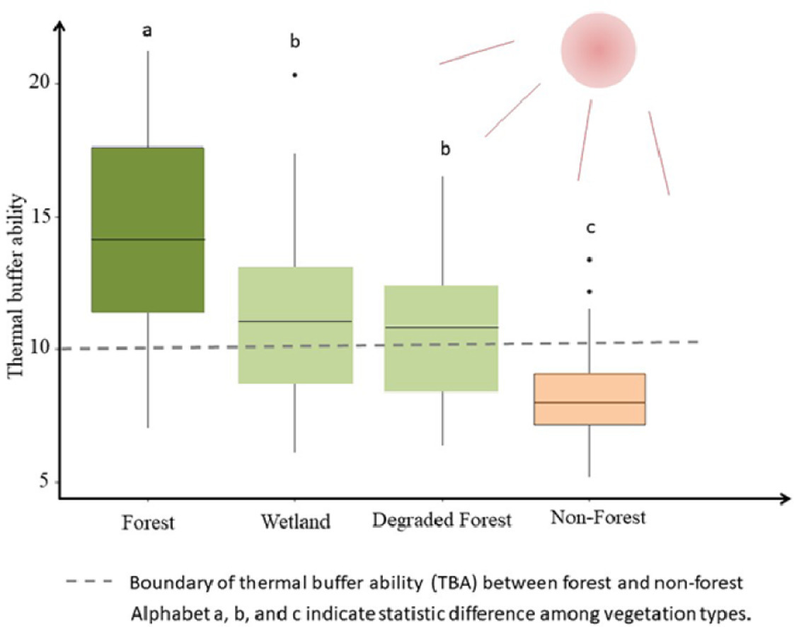Forests buffer thermal fluctuation better than non-forests .jpg