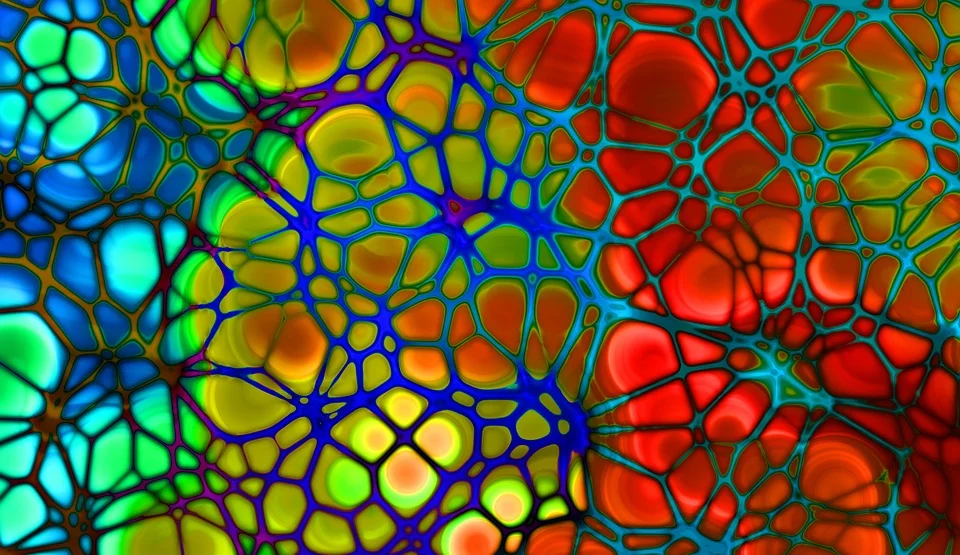 Researchers Provide Novel Insights into Primate Arterial Aging